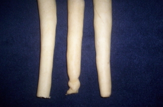 Beef Cow Tails 5" - 6" Beef Cow Tails, cow, tails, beef